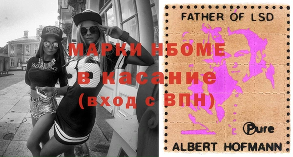 ПСИЛОЦИБИНОВЫЕ ГРИБЫ Арсеньев