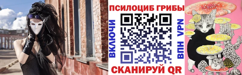 Галлюциногенные грибы Psilocybine cubensis  Полярный 
